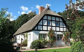 Rügen-Fewo 266